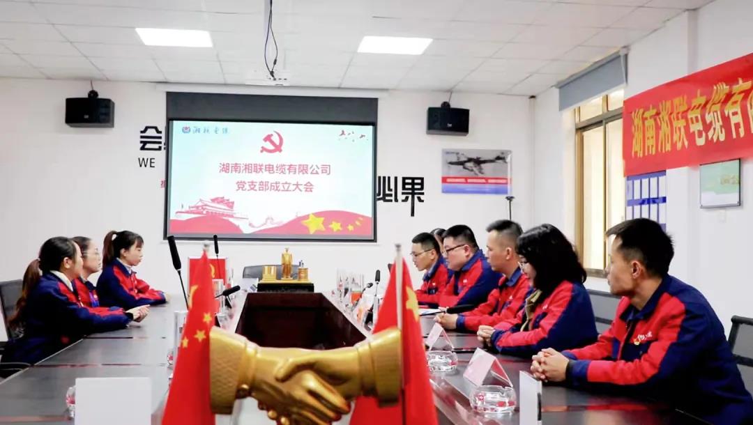 新征程 | 熱烈祝賀湖南湘聯(lián)電纜有限公司黨支部正式成立！